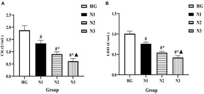 Alleviation of Myocardial Inflammation in Diabetic Rats by Flavonoid Extract of Helichrysum Arenarium and Its Effect on Damaged Myocardial Cells Induced by High Glucose